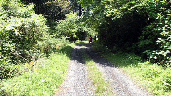 フラットダート